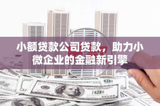 鹿城小额贷款公司贷款，助力小微企业的金融新引擎