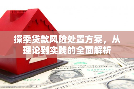 鹿城探索贷款风险处置方案，从理论到实践的全面解析