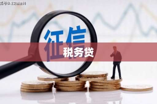 鹿城税务贷
