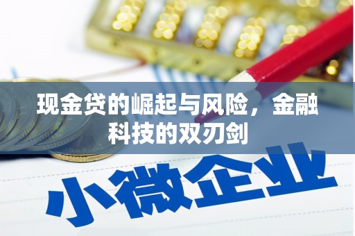 鹿城现金贷的崛起与风险，金融科技的双刃剑