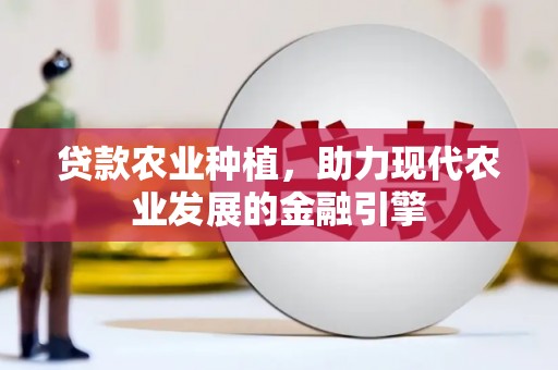 鹿城贷款农业种植，助力现代农业发展的金融引擎