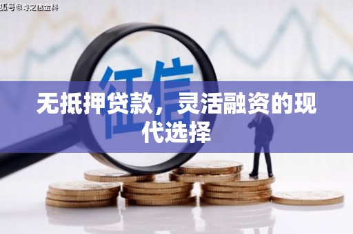 鹿城无抵押贷款，灵活融资的现代选择