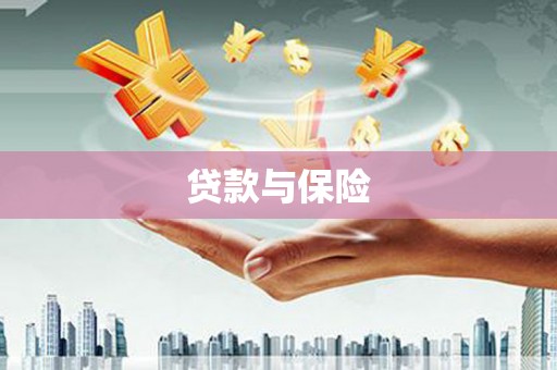 鹿城贷款与保险