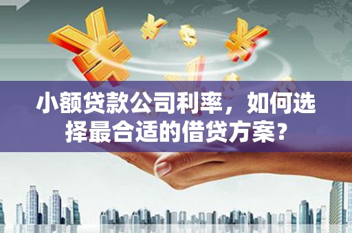 鹿城小额贷款公司利率，如何选择最合适的借贷方案？