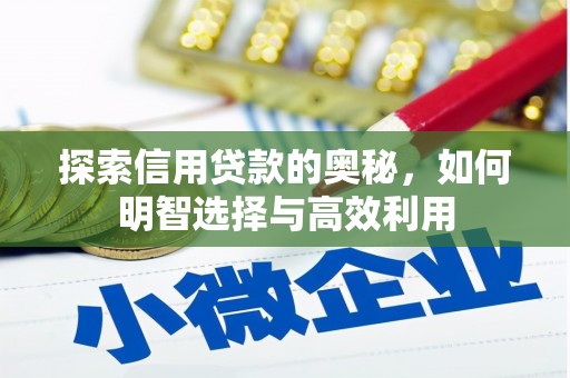 鹿城探索信用贷款的奥秘，如何明智选择与高效利用