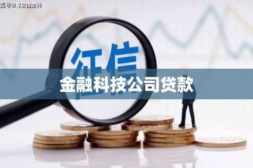 鹿城金融科技公司贷款