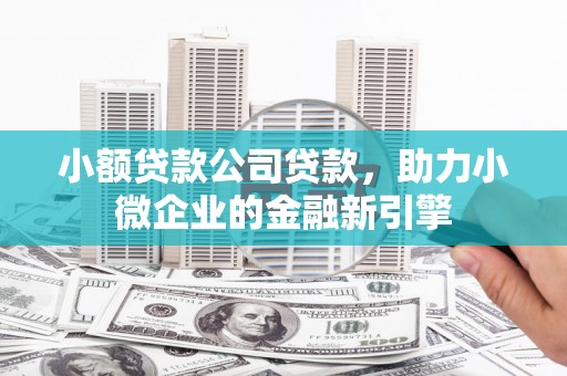 鹿城小额贷款公司贷款，助力小微企业的金融新引擎