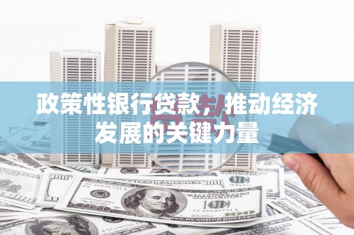 鹿城政策性银行贷款，推动经济发展的关键力量