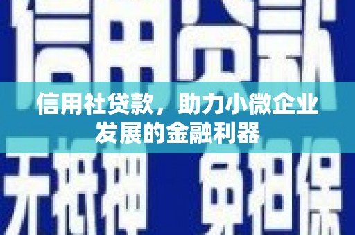 鹿城信用社贷款，助力小微企业发展的金融利器