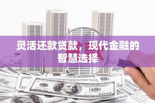 鹿城灵活还款贷款，现代金融的智慧选择