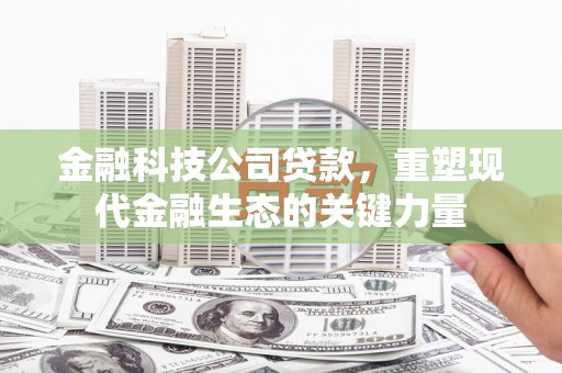 鹿城金融科技公司贷款，重塑现代金融生态的关键力量