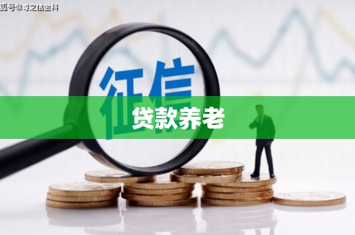 鹿城贷款养老