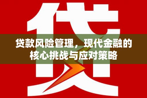 鹿城贷款风险管理，现代金融的核心挑战与应对策略