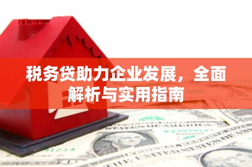 鹿城税务贷助力企业发展，全面解析与实用指南