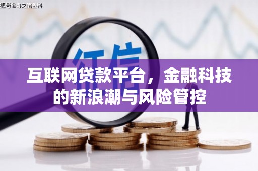 鹿城互联网贷款平台，金融科技的新浪潮与风险管控