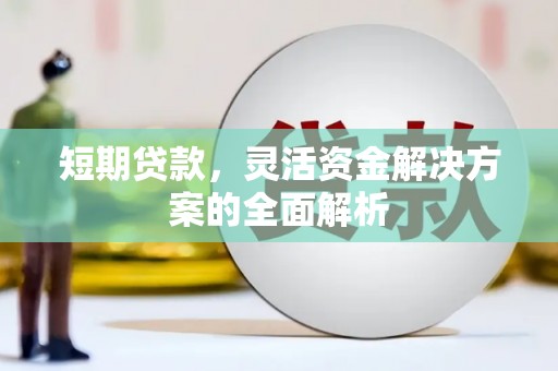 鹿城短期贷款，灵活资金解决方案的全面解析