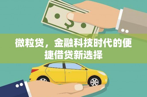鹿城微粒贷，金融科技时代的便捷借贷新选择