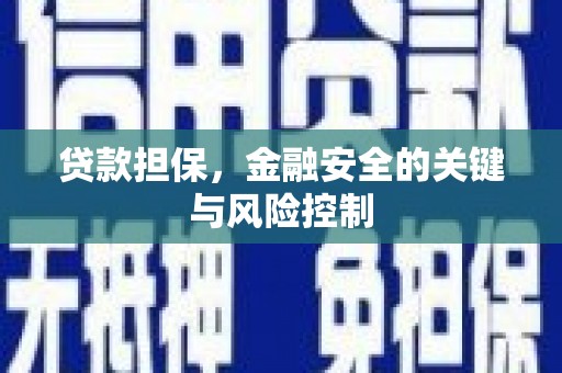 鹿城贷款担保，金融安全的关键与风险控制
