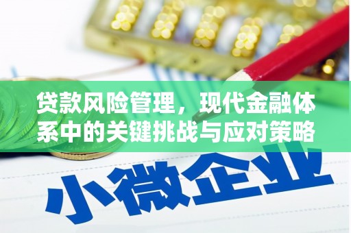 鹿城贷款风险管理，现代金融体系中的关键挑战与应对策略