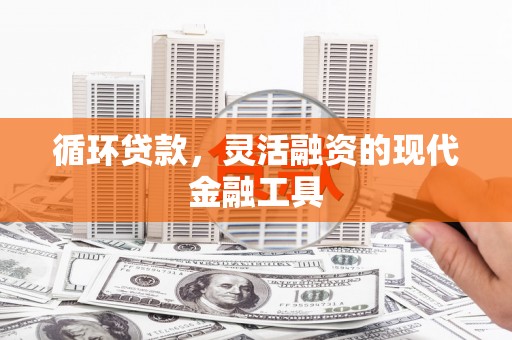 鹿城循环贷款，灵活融资的现代金融工具