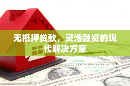 鹿城无抵押贷款，灵活融资的现代解决方案