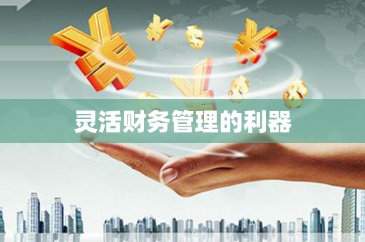 鹿城灵活财务管理的利器