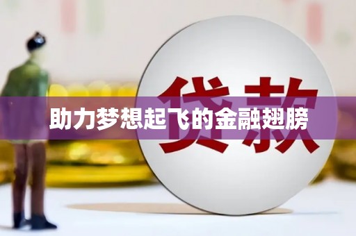 鹿城助力梦想起飞的金融翅膀