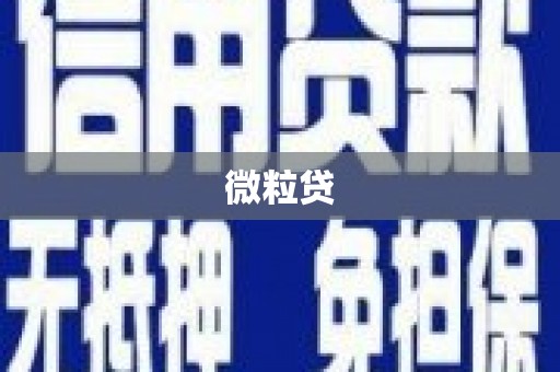 鹿城微粒贷