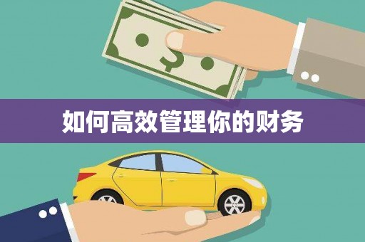 鹿城如何高效管理你的财务