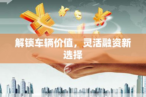 鹿城解锁车辆价值，灵活融资新选择