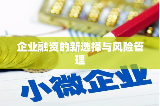 鹿城企业融资的新选择与风险管理