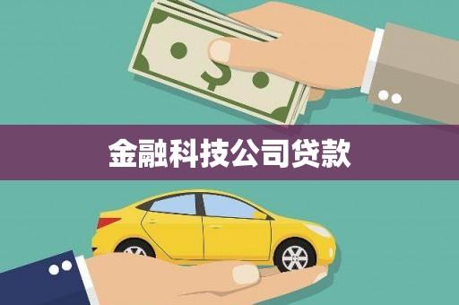 鹿城金融科技公司贷款