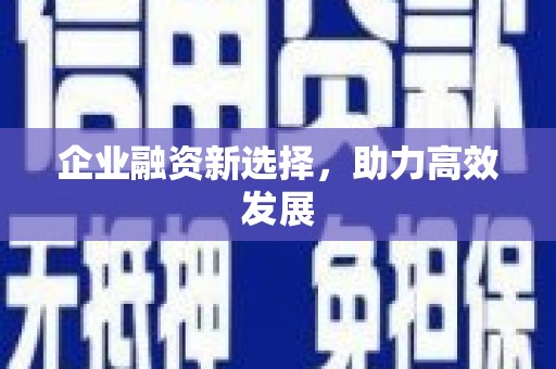 鹿城企业融资新选择，助力高效发展