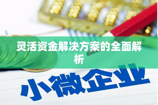 鹿城灵活资金解决方案的全面解析