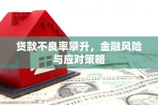 鹿城贷款不良率攀升，金融风险与应对策略